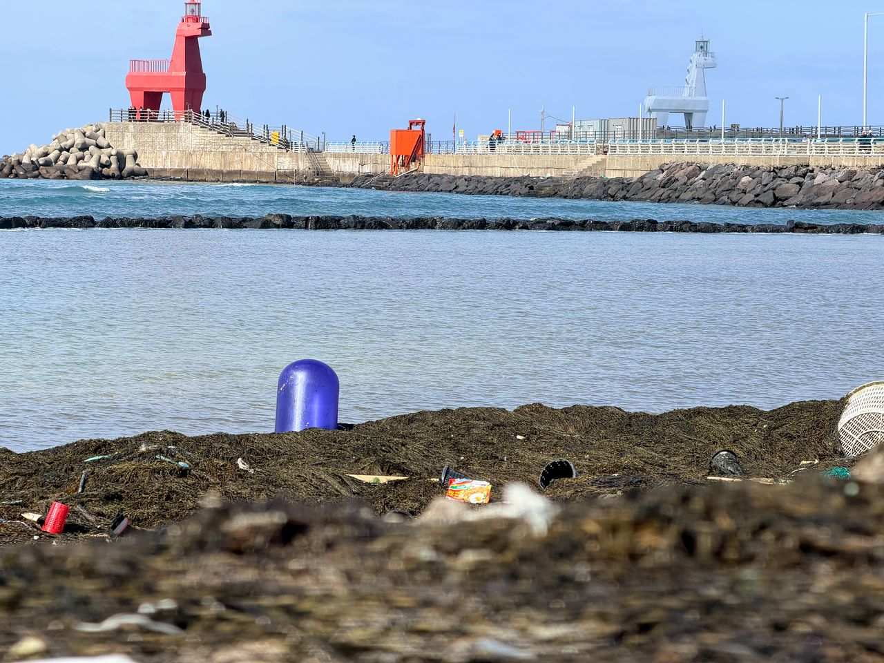 Masses of Sargassum horneri cover Ihoteu Beach and nearby coastal areas in Jeju City on the afternoon of Jan. 9. [JOONGANG ILBO]  