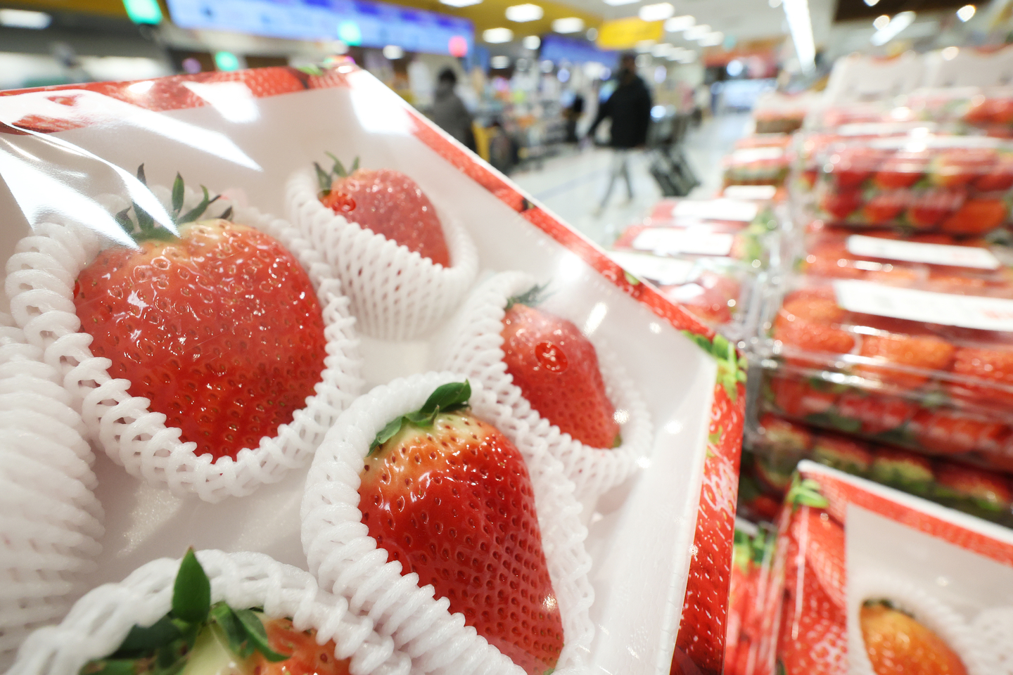 Strawberries are displayed at a supermarket in Seoul on Feb. 4. [YONHAP]