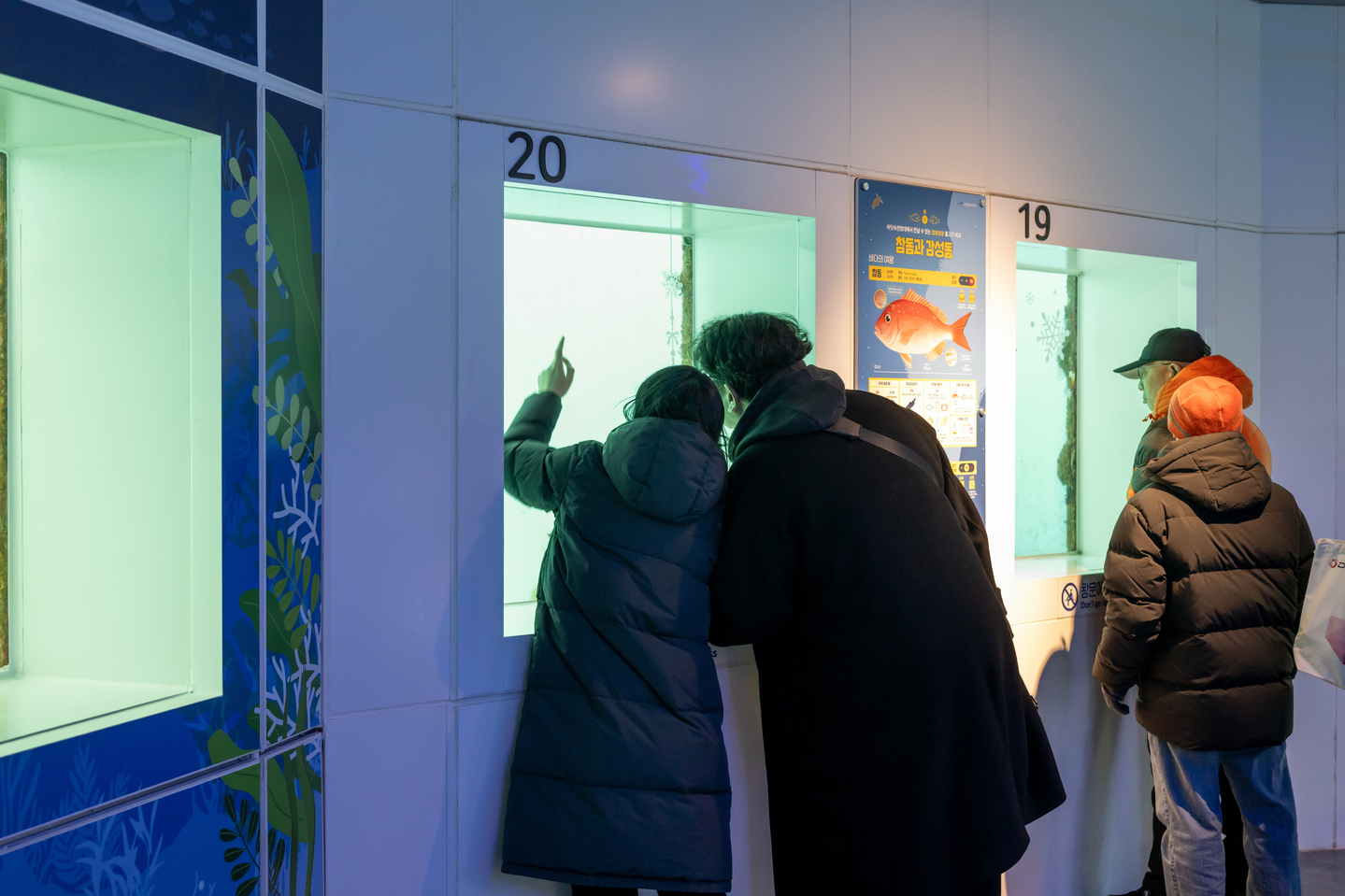 People look out the window to catch sight of fishes and other sea creatures at the National Ocean Science Museum’s underwater observatory in Jukbyeon-myeon, Uljin. [GNC 21] 