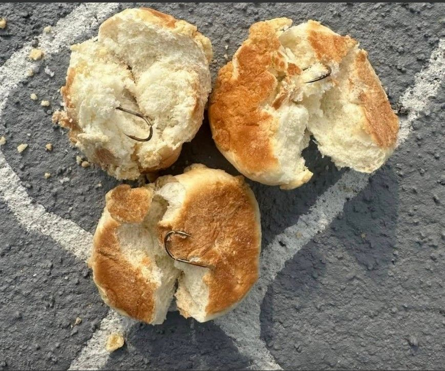 Bread embedded with fish hooks found at a pet park in Naju, South Jeolla, on Feb. 14 [SCREEN CAPTURE]
