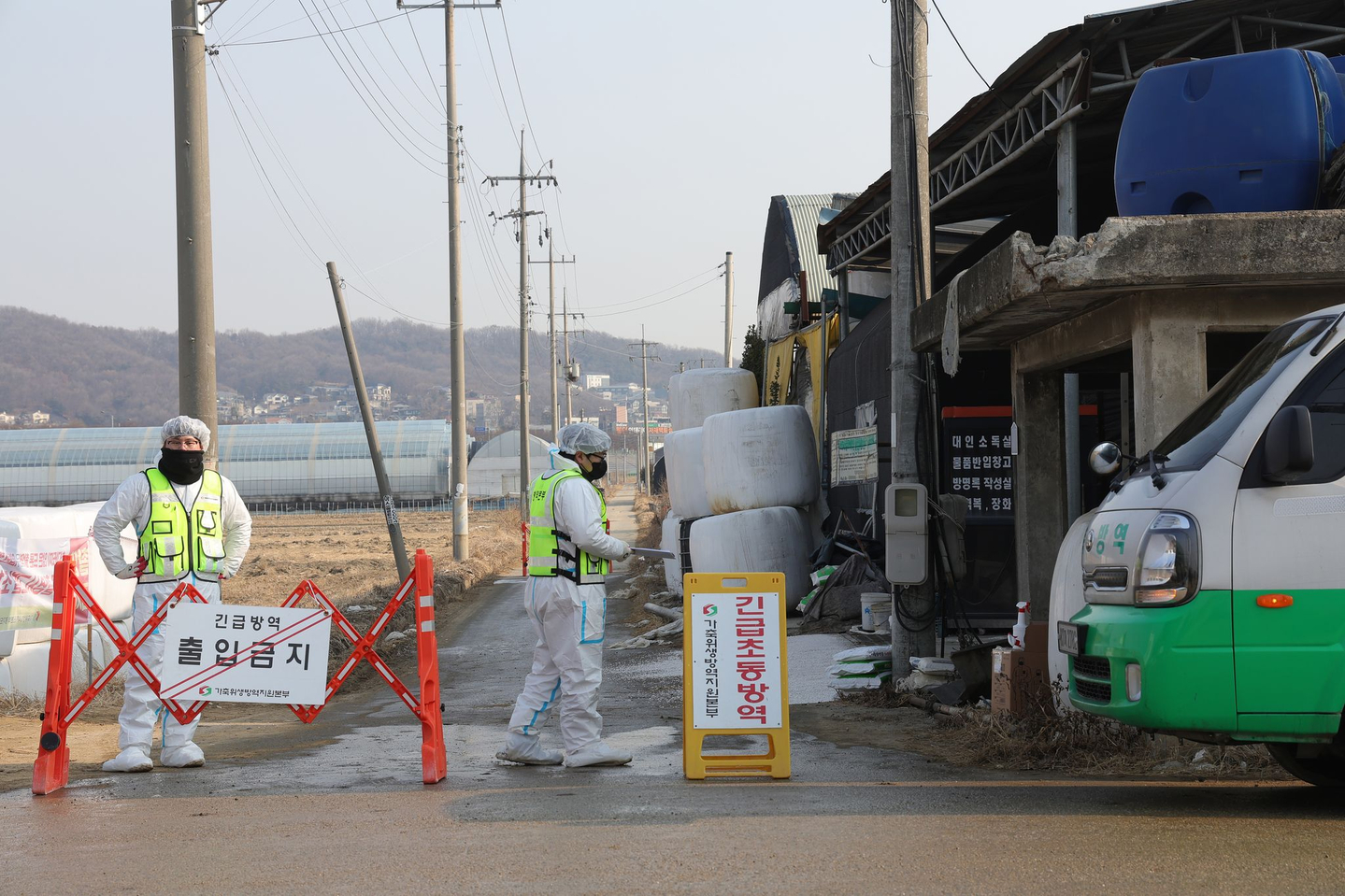 On the morning of Feb. 20, foot-and-mouth disease is confirmed at a cattle farm in Gusan-dong, Goyang, Gyeonggi, as quarantine authorities control the site. [YONHAP]