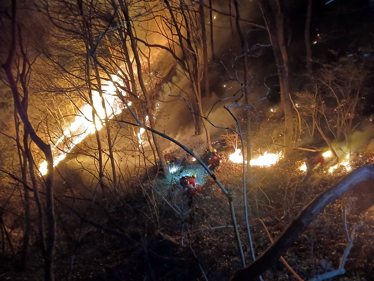 Forestry authorities work to contain a wildfire in Macheon-myeon, Hamyang County, South Gyeongsang, in the early hours of Feb. 23. [KOREA FOREST SERVICE]