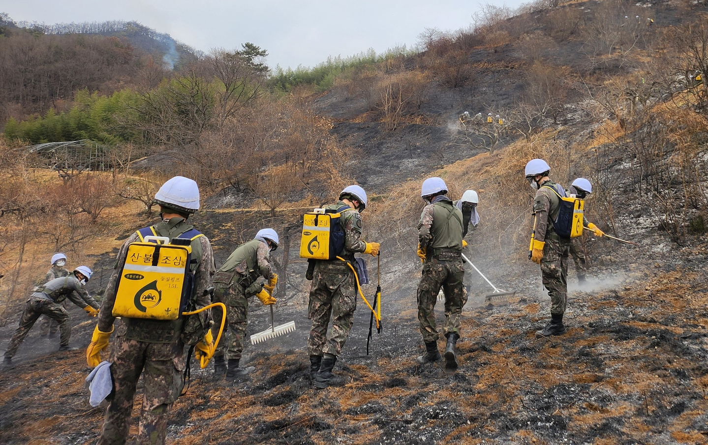 Service members put out remaining fires in Miryang, South Gyeongsang, on Feb. 24. [YONHAP] 