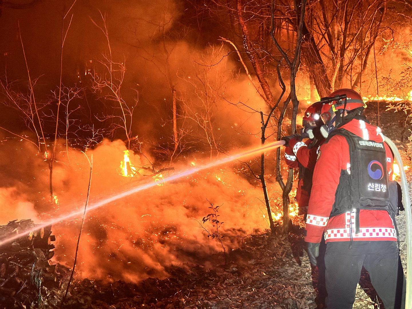 Forestry authorities carry out overnight firefighting operations on Feb. 24 to contain a wildfire that has been burning since the previous day in Geomse-ri, Samnangjin-eup, Miryang, South Gyeongsang. [KOREA FOREST SERVICE]