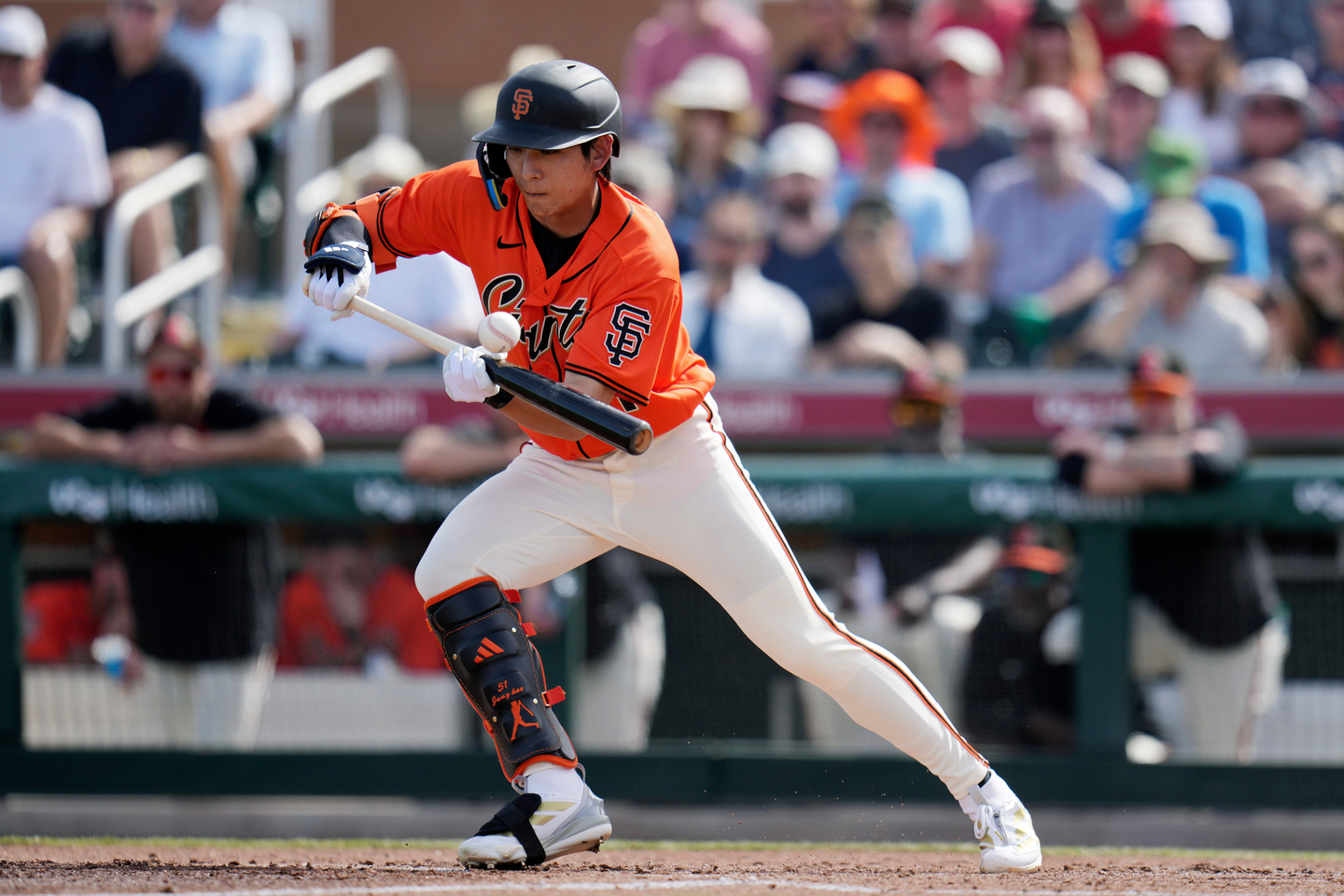 San Francisco Giants center fielder Lee Jung-hoo fouls off a bunt attempt during the second inning of a spring training baseball game against the Athletics in Scottsdale, Arizona, on Feb. 23. [AP/YONHAP] 