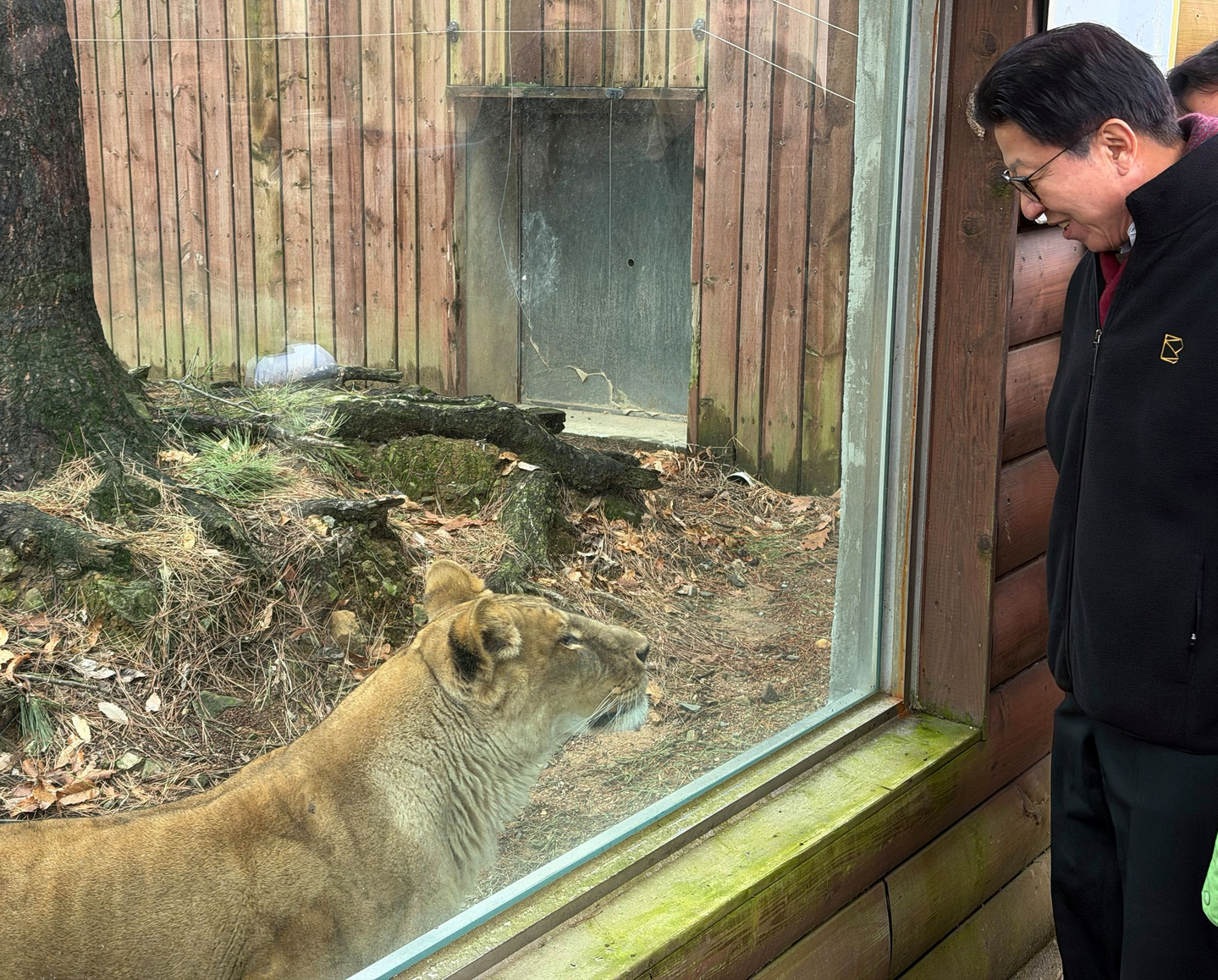 Busan Mayor Park Heong-joon tours Samjung The Park on Feb. 25 as the city takes over the facility and converts it into a public zoo. [YONHAP]