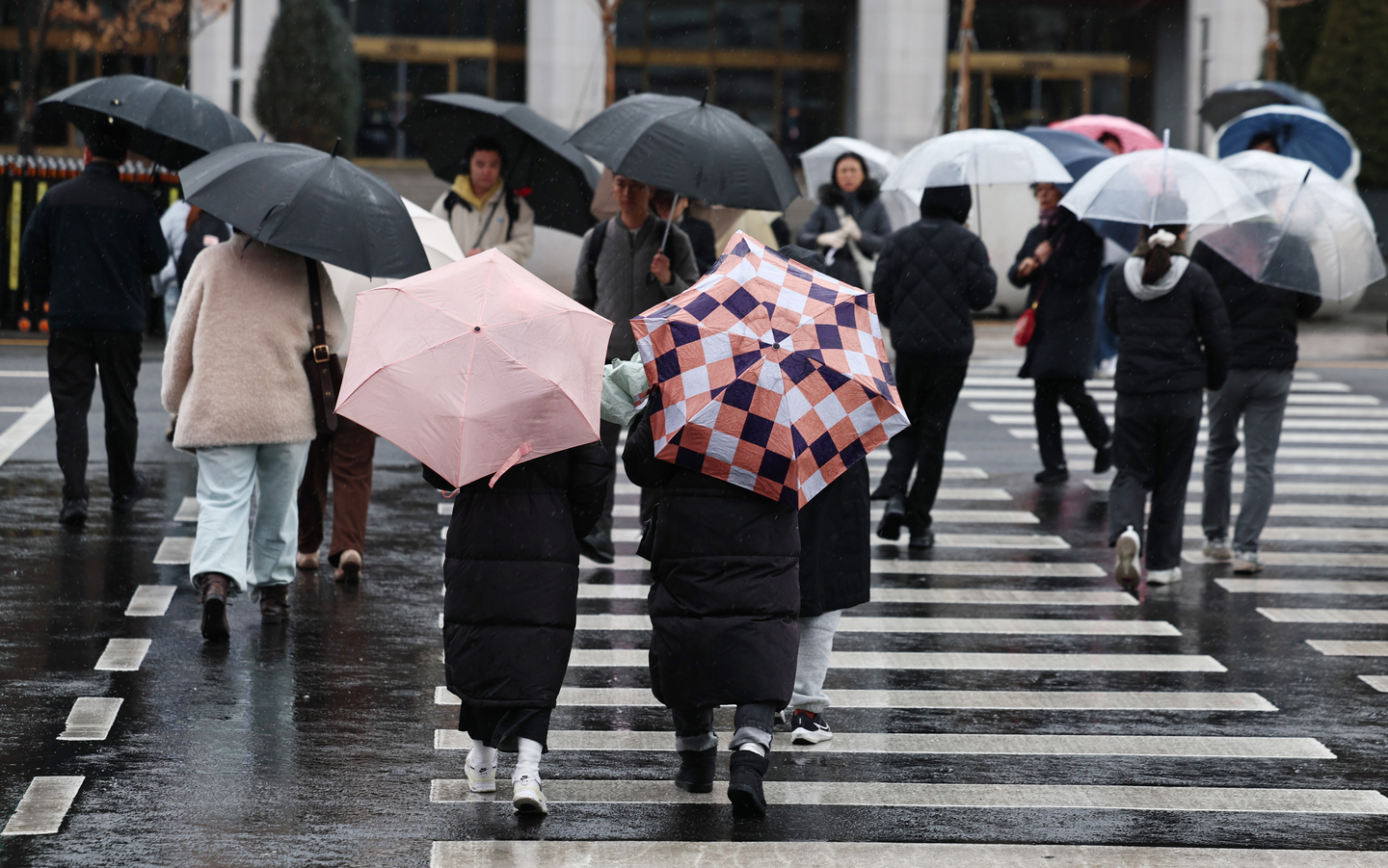 Pedestrians holding umbrellas cross a street in Jongno District, central Seoul, on the morning of March 2 as rain falls across most parts of Korea. [NEWS1]
