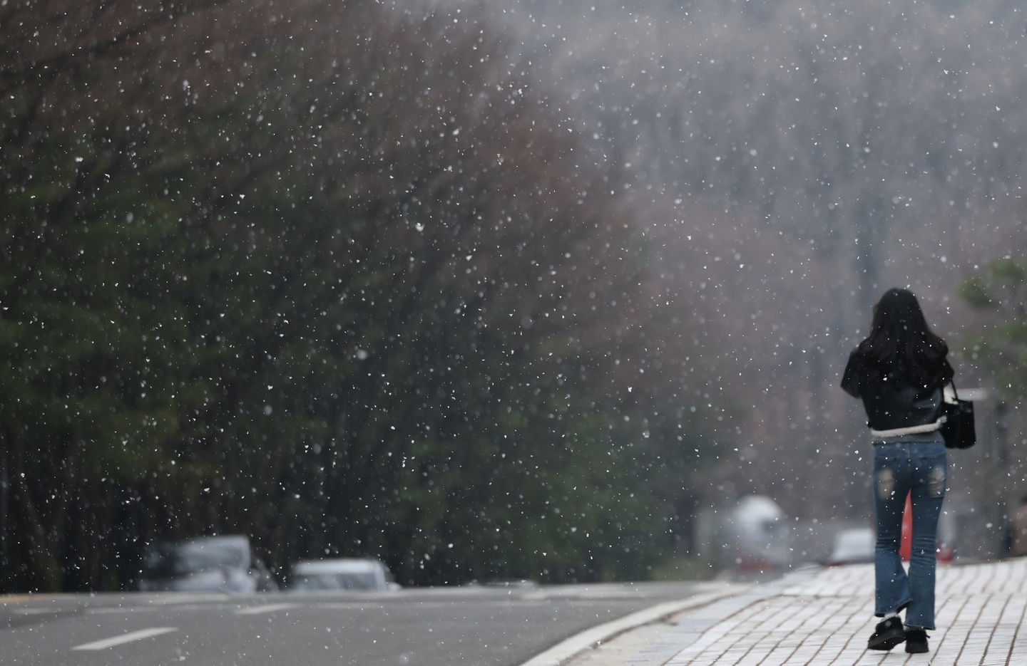 Snow falls over Seocho District, southern Seoul, on March 6. [YONHAP] 