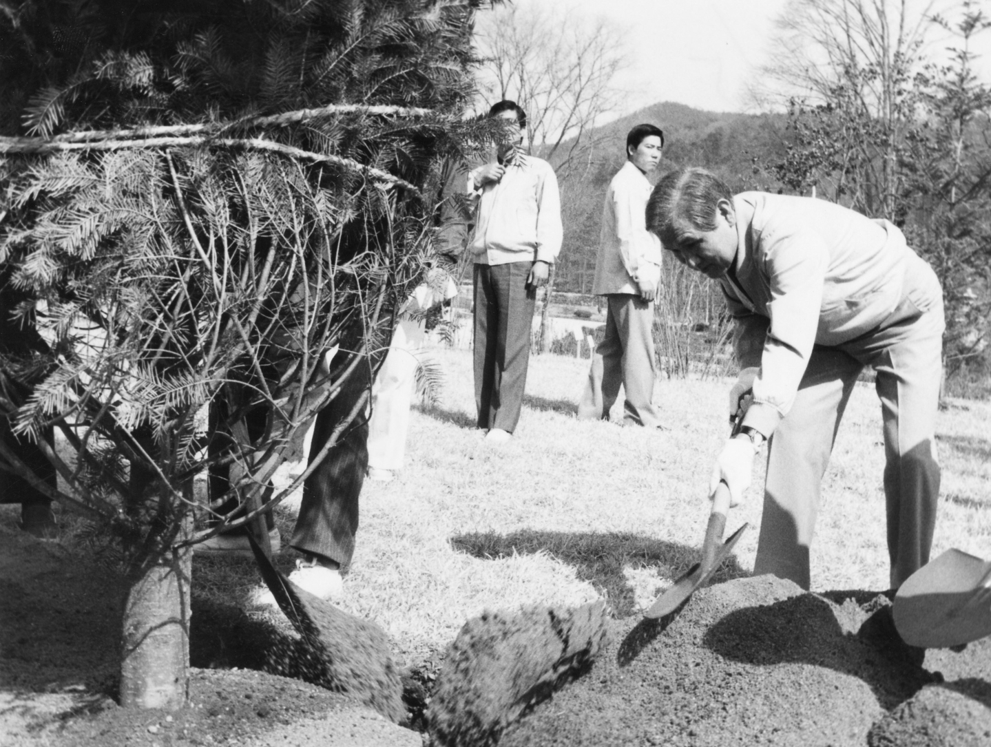 President Roh Tae-woo plants a tree on Arbor Day on April 5, 1989. [JOONGANG ILBO] 