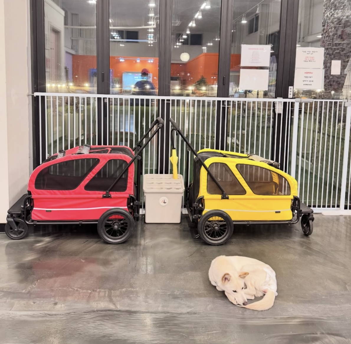 A dog cafe owned by Lee Sang-ah has prepared dog strollers so customers can place their pets in them while inside the cafe. [SCREEN CAPTURE]