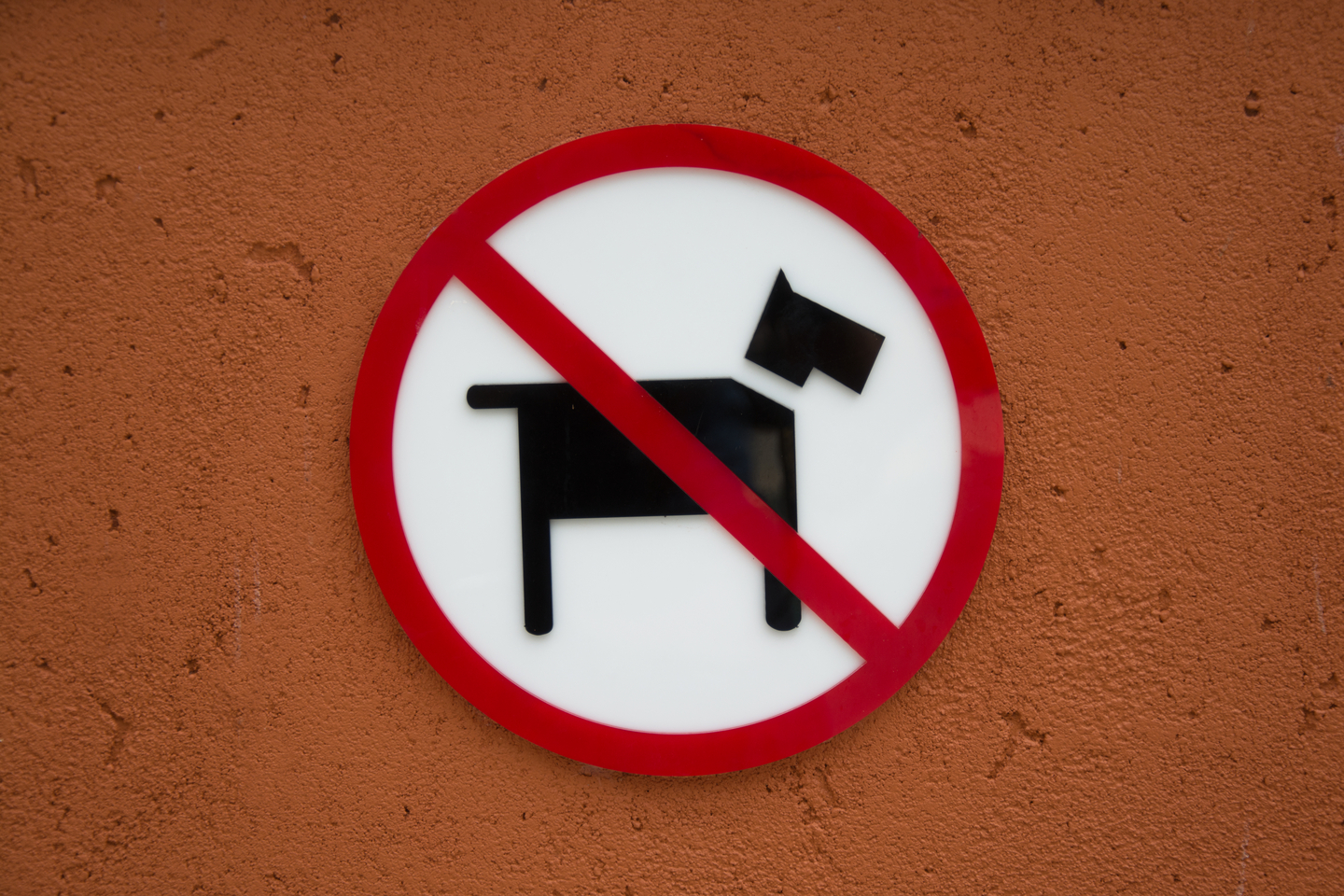 No dogs sign in orange wall background [GETTY IMAGES BANK]