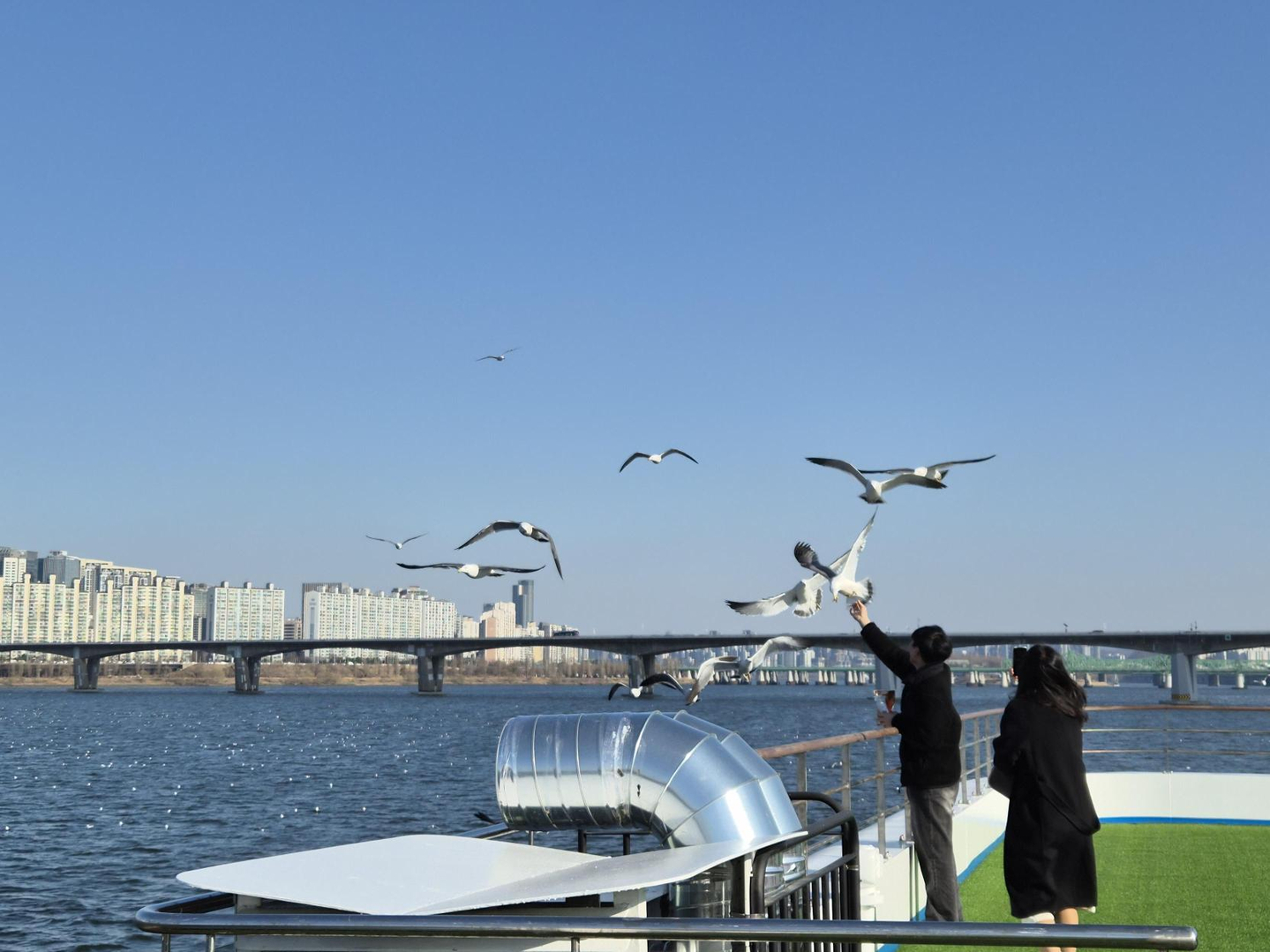  A couple feeds seagulls aboard the Seoul Cruise on March 7. [CHO JUNG-WOO]
