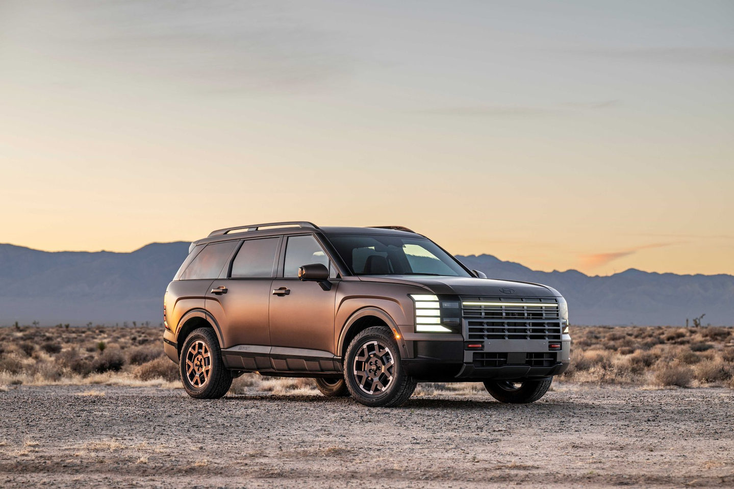 Hyundai Motor's Palisade [NEWS1]