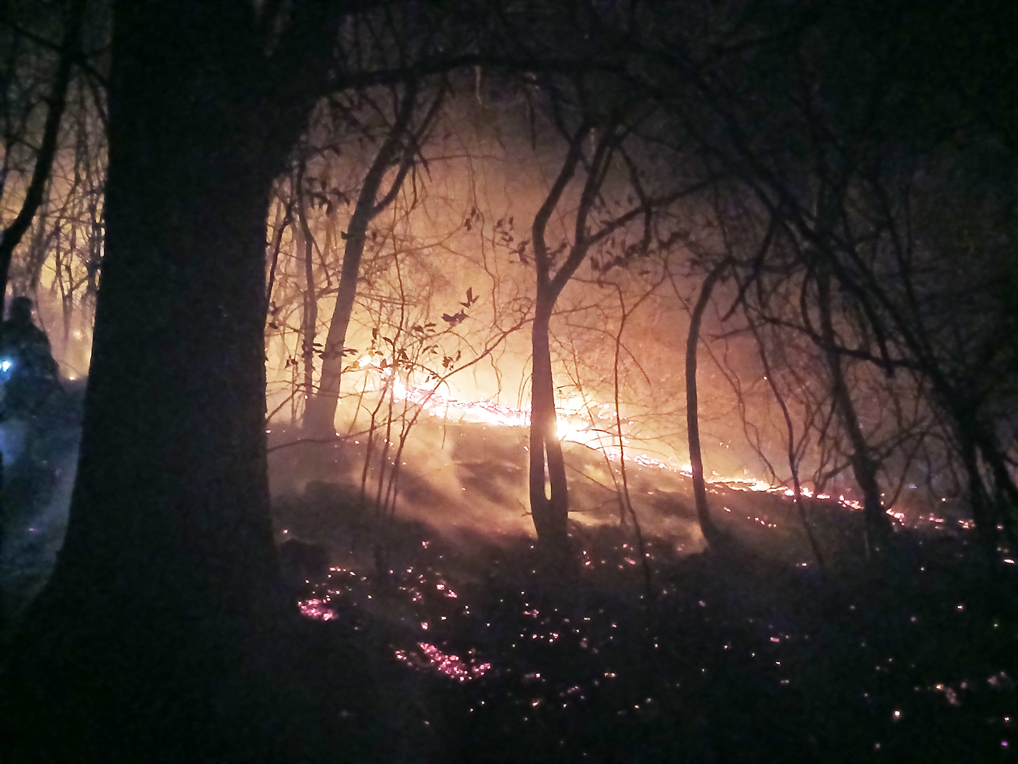 Smoke and flames rise from a mountainside in Hamyang County, South Gyeongsang, on Feb. 21. [NEWS1]