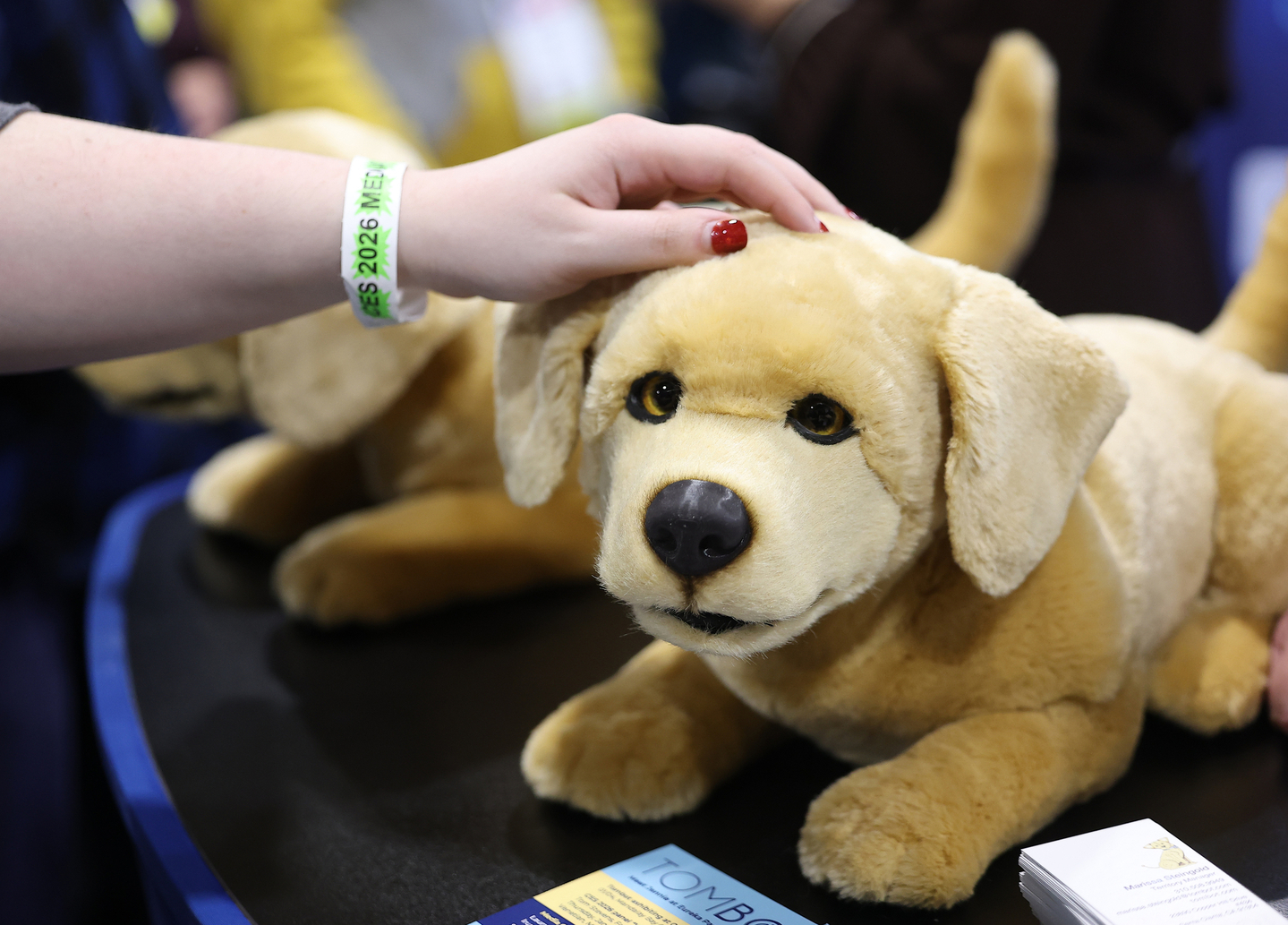 A robot dog is on display at CES 2026 Unveiled, held at the Mandalay Bay Convention Center in Nevada, on Jan. 4. [YONHAP]