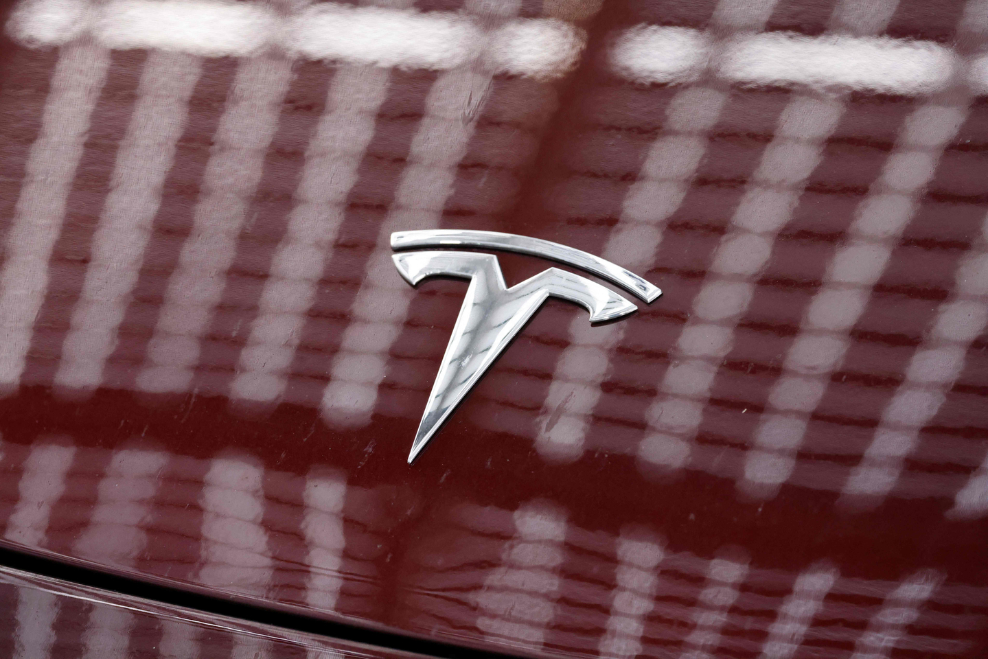 The Tesla logo is pictured on a car outside the U.S. carmaker Tesla's German factory near Berlin, on Nov. 20, 2024 in Gruenheide, Germany. [AFP/YONHAP]