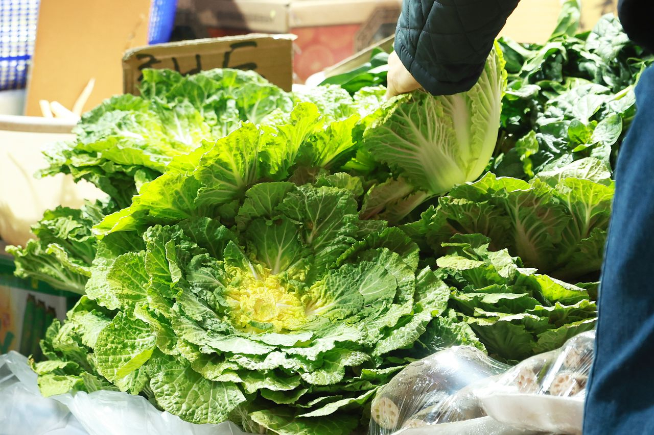 Spring cabbage is displayed at a market in Seoul on March 4. [YONHAP]