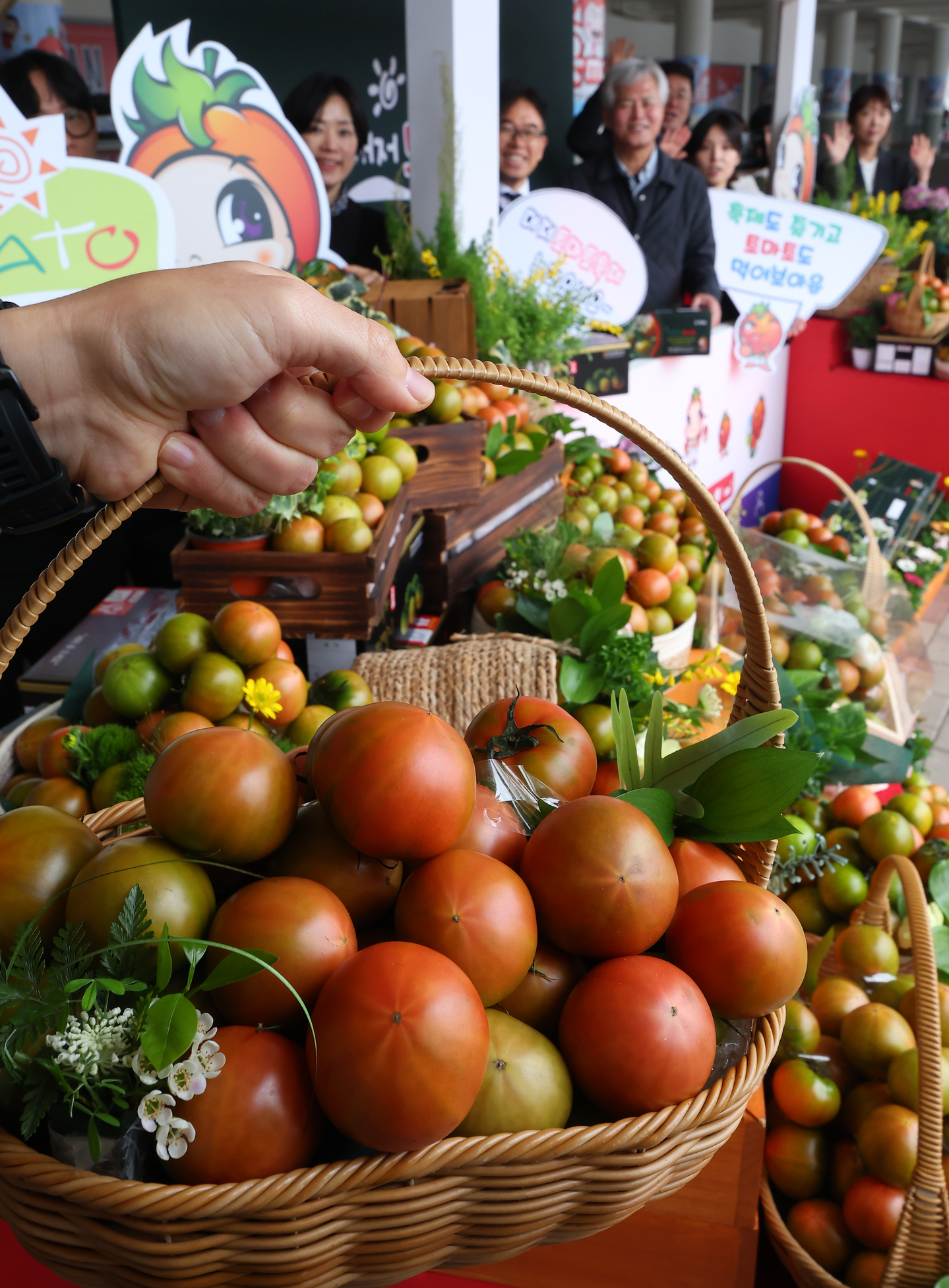 Representatives from the Daejeo Tomato Festival organizing committee and the Daejeo Agricultural Cooperative promote the upcoming 23rd Daejeo Tomato Festival at Gangseo Sports Park in Gangseo District, Busan, on March 18. [YONHAP]