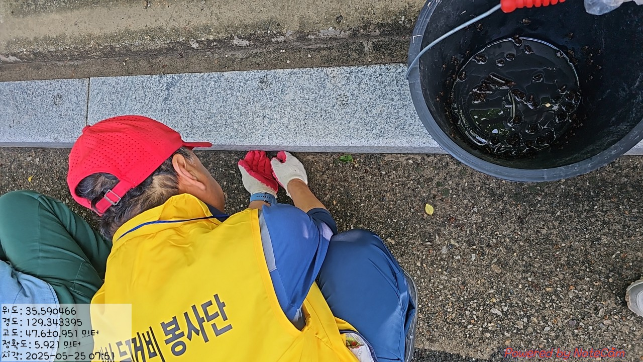 A volunteer picks up a small toad to help prevent roadkill near Mount Hwangbang in Ulsan, during volunteer work by local residents in spring 2025 [ULSAN JUNG DISTRICT OFFICE]
