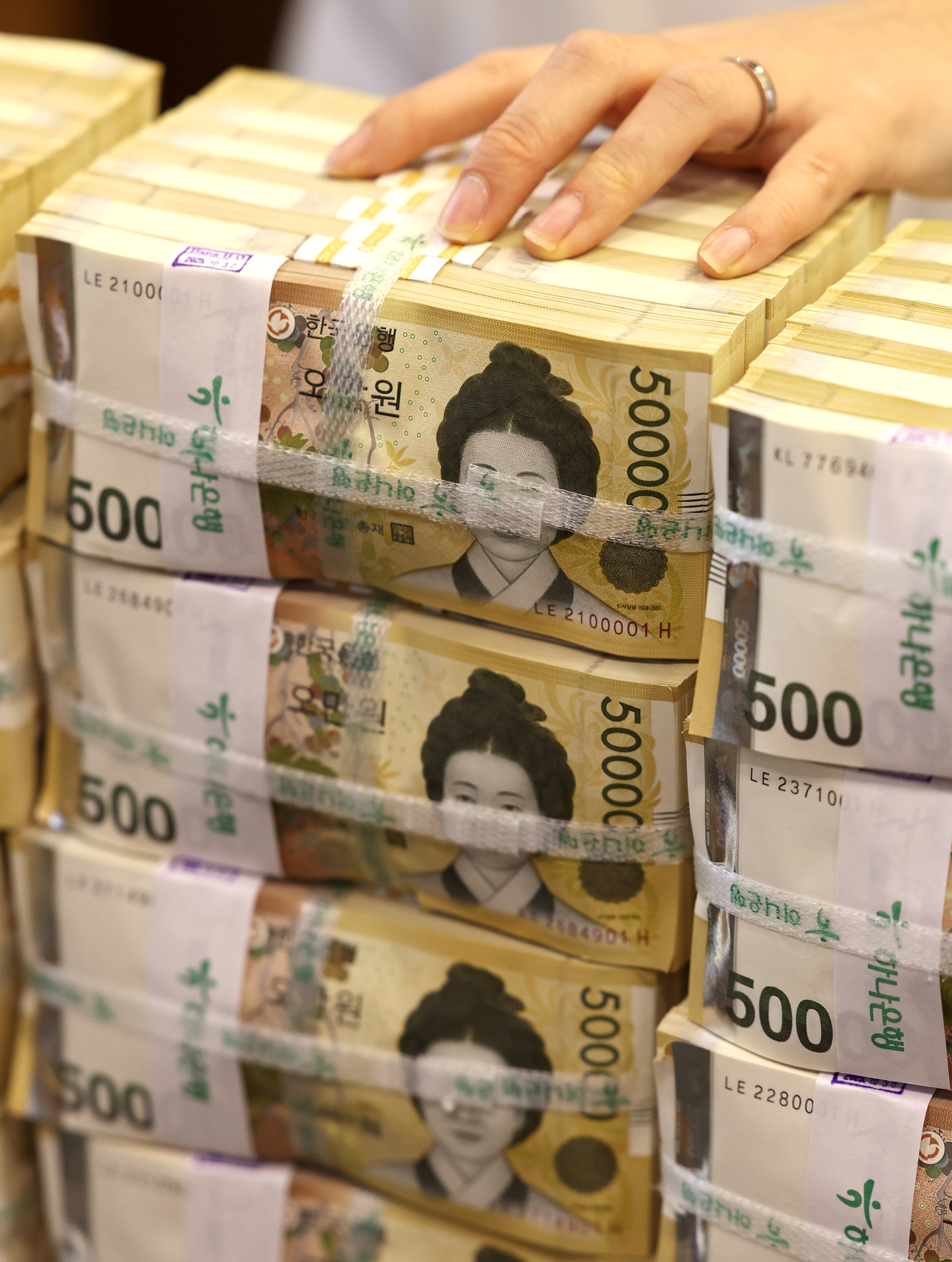 A person sorts 50,000-won banknotes at a Hana Bank in Jung District, central Seoul, on Feb. 24. [NEWS1] 