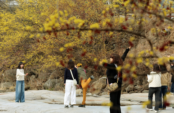 Visitors enjoy spring in South Jeolla on March 15. [YONHAP]