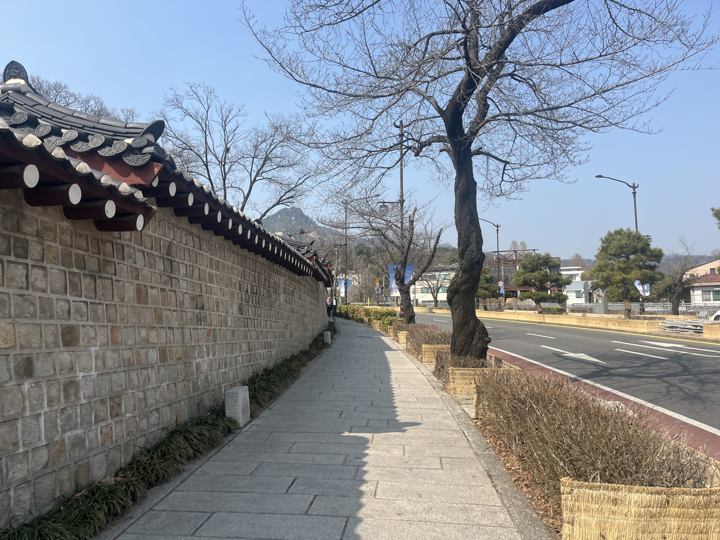 The path I ran around the Gyeongbok Palace in Jongno District, central Seoul, on March 17.  [ALICIA CARR]