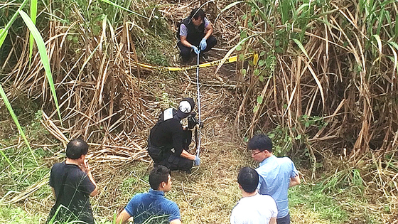 In this photo provided by inspector Lee Ji-hoon, bodies of three Koreans lie at a sugarcane field in northern Philippines as Lee, second from left, examines the scene on Oct. 11, 2016. [LEE JI-HOON]