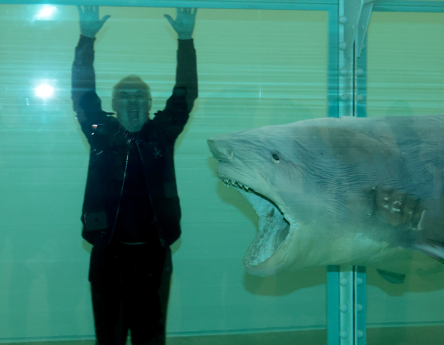 Damien Hirst poses with his work, “The Physical Impossibility of Death in the Mind of Someone Living” (1991), displayed at the National Museum of Modern and Contemporary Art's exhibit “Nothing Is True But Everything Is Possible” in Jongno District, central Seoul, on March 19. [JOONGANG ILBO]