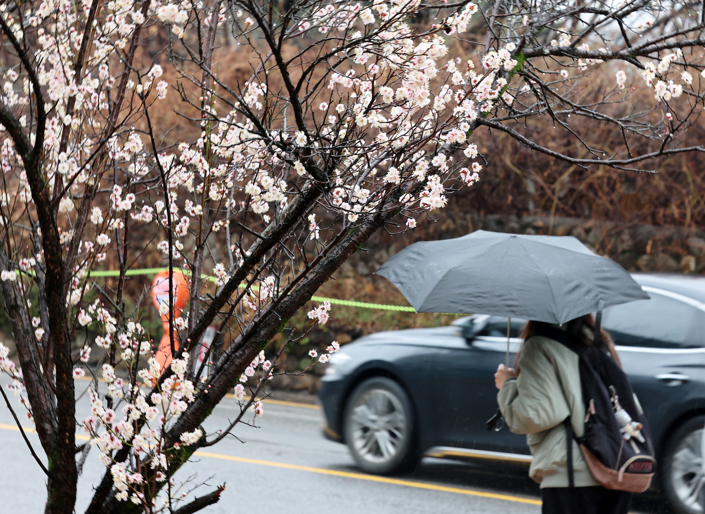 A pedestrian carrying an umbrella is seen in Gwangju on March 18. [YONHAP]