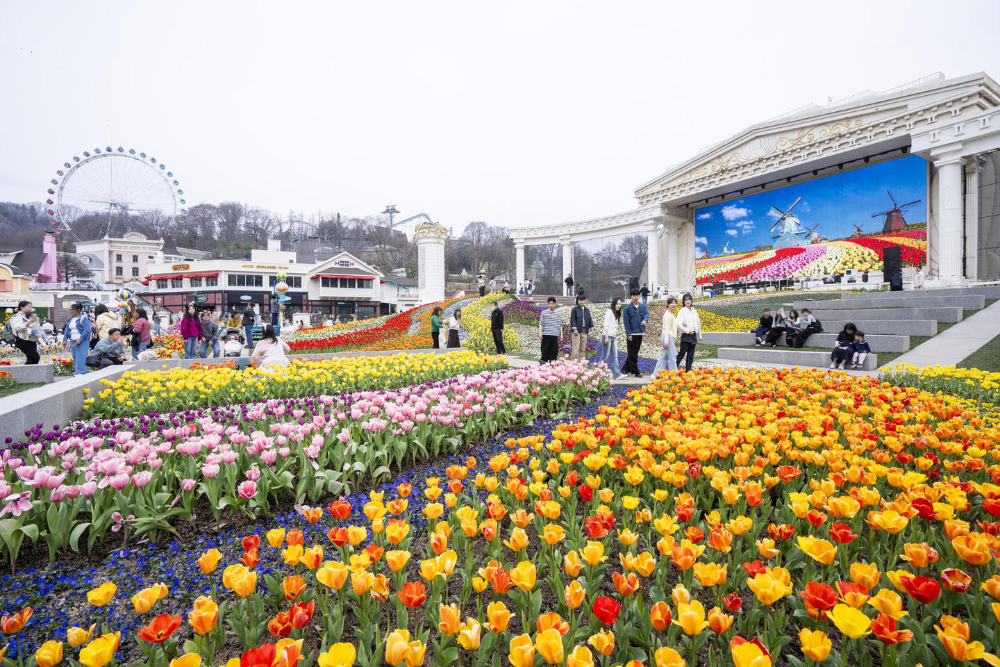 Everland's signature tulip festival held at Four Seasons Garden [EVERLAND]