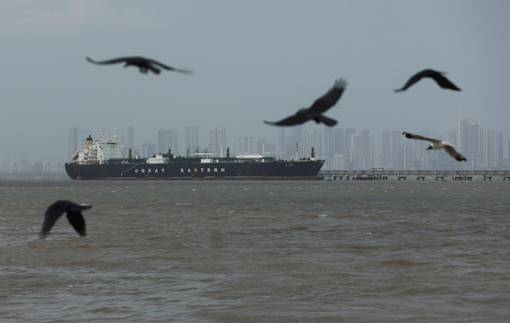 Birds fly near the Jag Vasant vessel transferring liquefied petroleum gas at a port after transiting the Strait of Hormuz amid supply disruptions linked to the U.S-Israeli conflict with Iran in Mumbai, India, on April 1. [REUTERS/YONHAP]