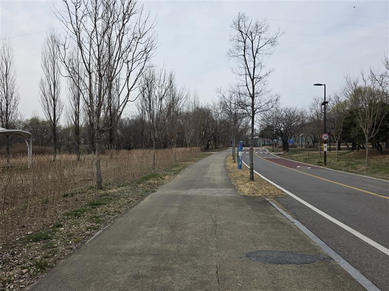 The trail in Mapo District, western Seoul, on March 24.  [ALICIA CARR]