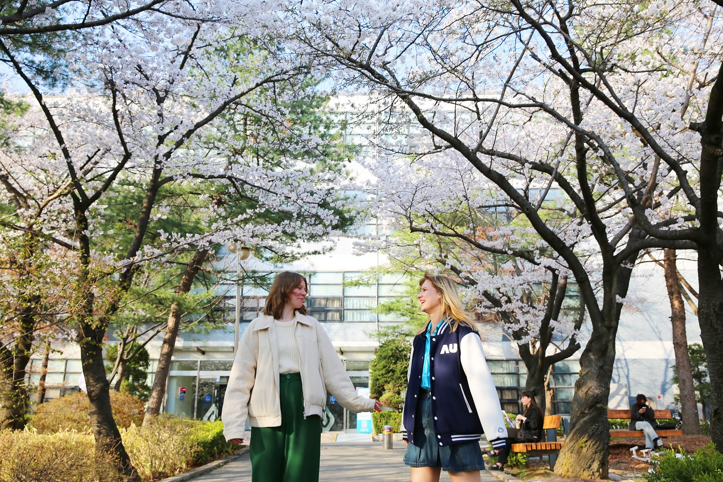 International students pose for a photo against the backdrop of cherry blossom trees at Ajou University in Suwon, Gyeonggi. [AJOU UNIVERSITY]