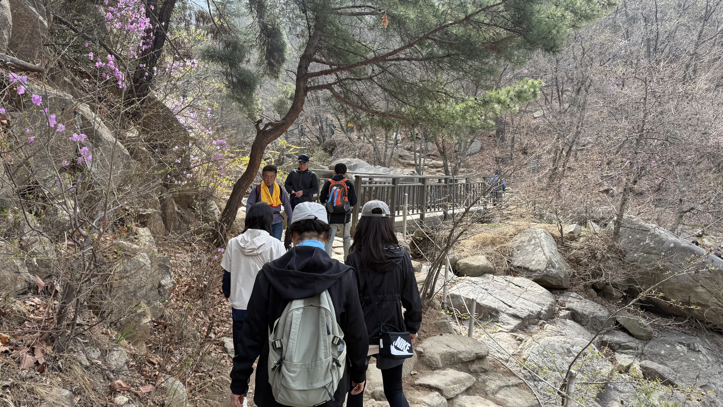 Mount Gwanak [WOO JI-WON]