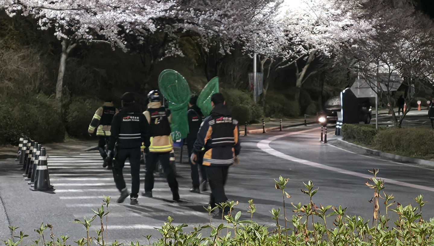 Firefighters search for the escaped wolf at O-World in Daejeon. [JOONGANG ILBO]