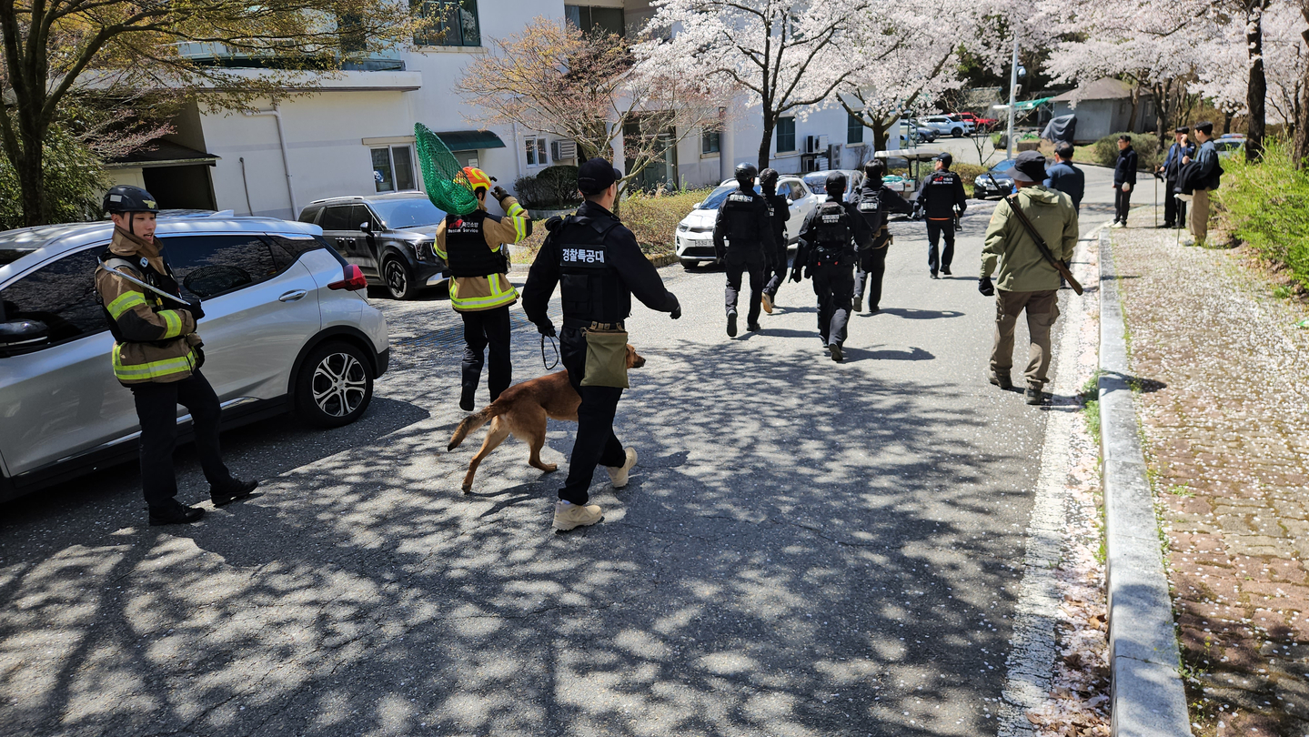 Fire authorities search for the escaped wolf at O-World in Daejeon on April 8. [DAEJEON FIRE HEADQUARTERS]