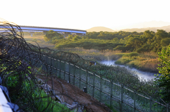 Janghang Wetland ecological park [JOONGANGILBO]