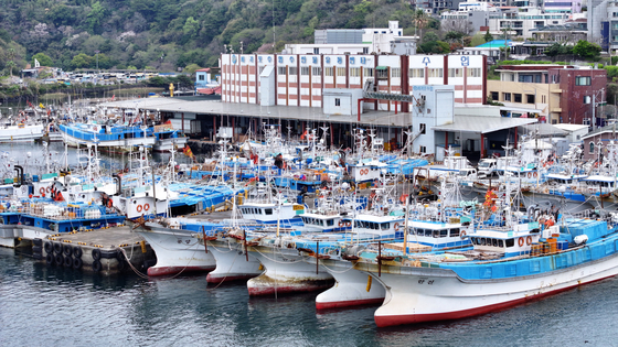 Longline fishing vessels, used to catch cutlassfish and other species, are docked at Seogwipo Port on Jeju Island on April 13, as the average price of diesel on the island climbed to 2,015 won per liter ($5.14 per gallon) amid fallout from the Middle East crisis. [YONHAP]