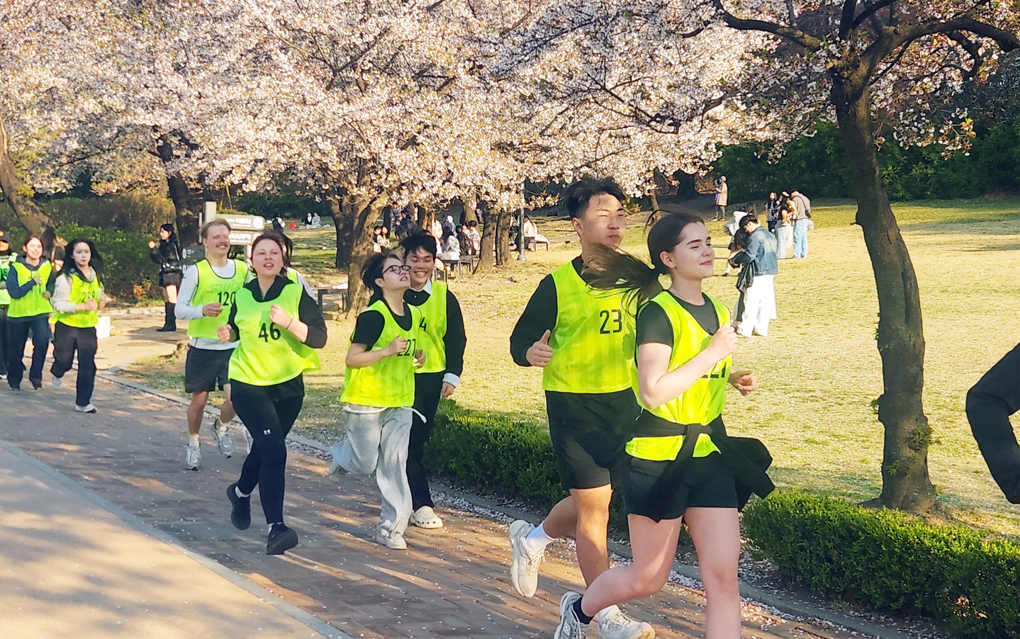 Students taking the Running & Korean Culture course run in Seoul Children's Grand Park. [SEJONG UNIVERSITY]