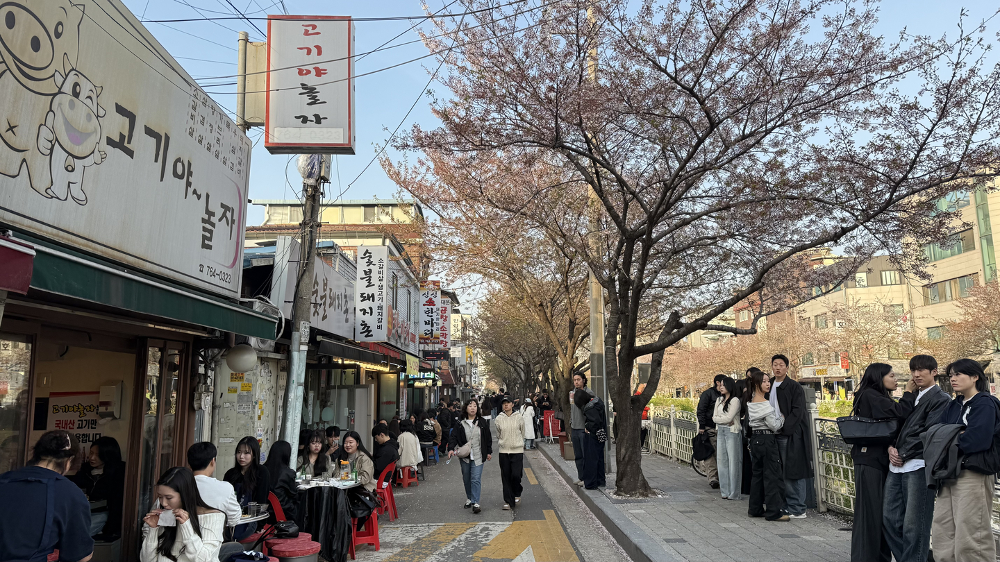 Crowds line the sidewalk along a road above Seongbuk Stream in central Seoul on April 11. [WOO JI-WON]