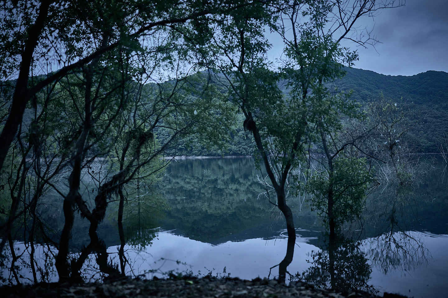 A still from ″Salmokji: Whispering Water,″ shows the reservoir where the story is set. [SHOWBOX]