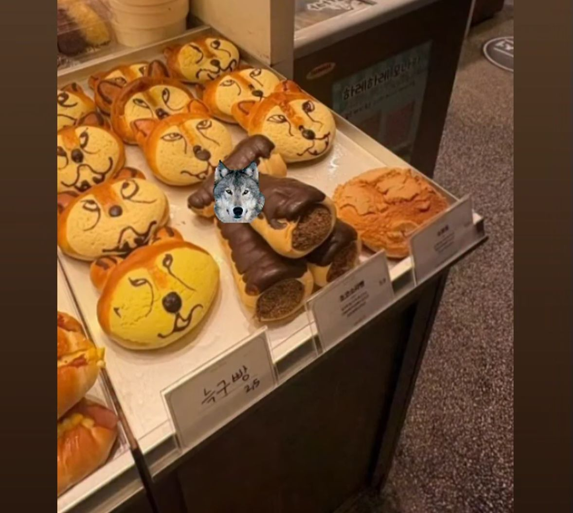 Neukgu-themed buns are on sale at a bakery in Daejeon. Neukgu is a wolf that briefly escaped from a zoo. [SCREEN CAPTURE]