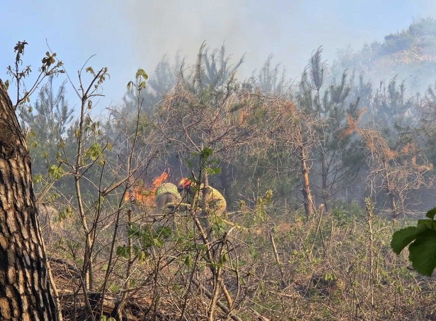 Fire authorities contain a fire in Gangwon on April 21. [GANGWON STATE FIRE HEADQUARTERS]