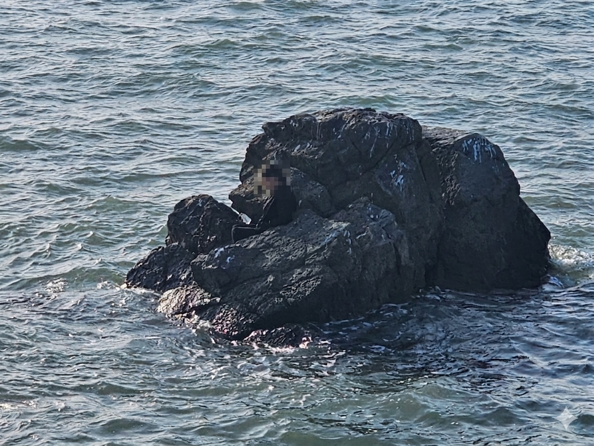 A woman is seen stranded on a coastal rock near Daebu Island, Ansan, Gyeonggi, on April 19. [KOREA COAST GUARD STATION PYEONGTAEK]