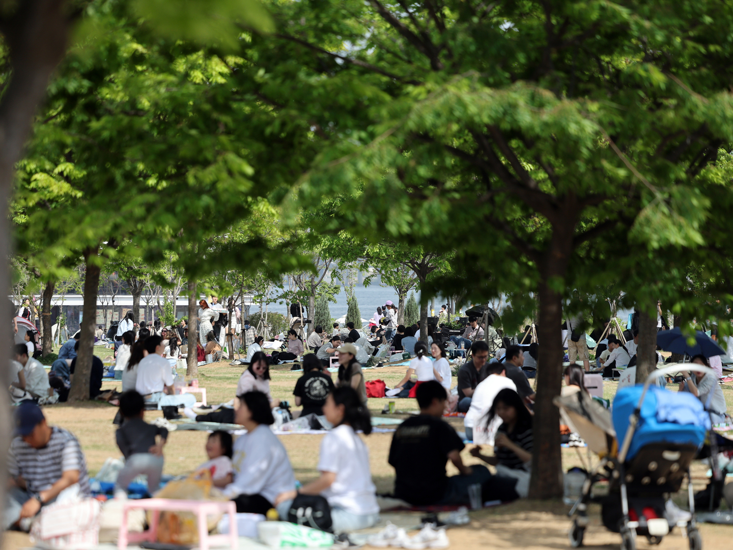 People picnic at Yeouido Hangang Park in Yeongdeungpo District, western Seoul, on April 19. [NEWS1]
