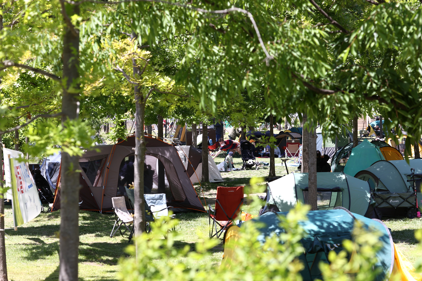 Tents are seen installed beneath trees at Mangwon Hangang Park on May 9, 2021. [YONHAP]