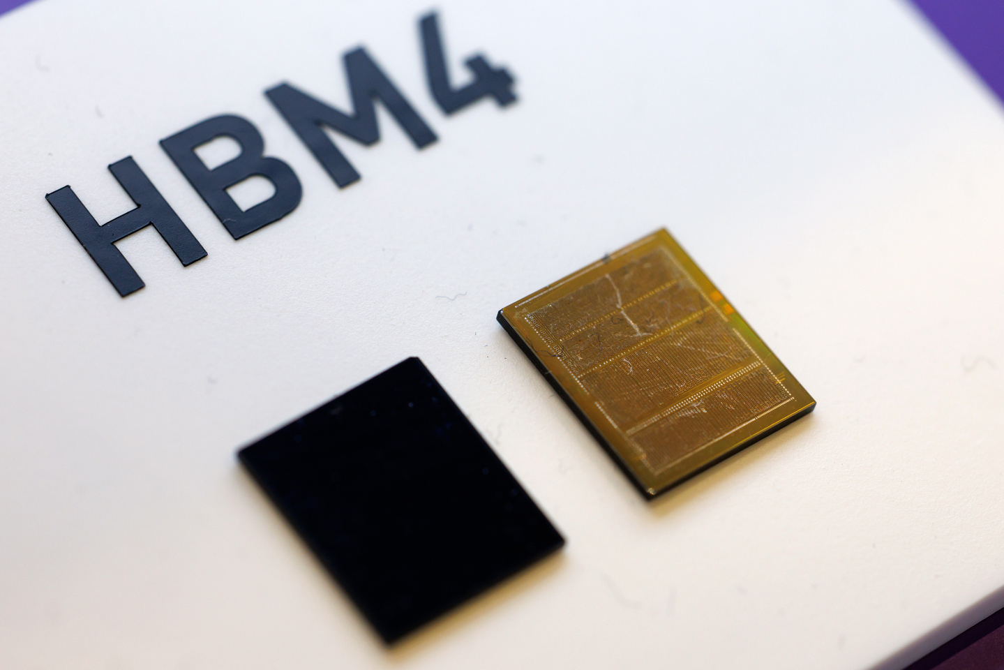 SK hynix's 12-layer HBM4 memory chips on display at the SK AI Summit in Seoul on Nov. 3 [YONHAP]