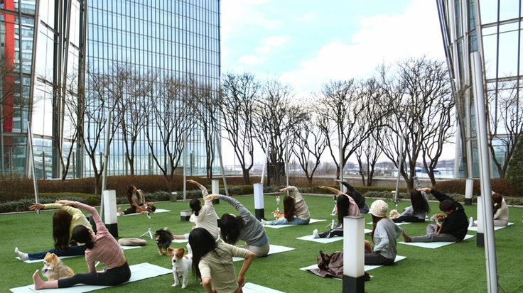 Yoga session with dogs at Conrad Seoul [CONRAD SEOUL]
