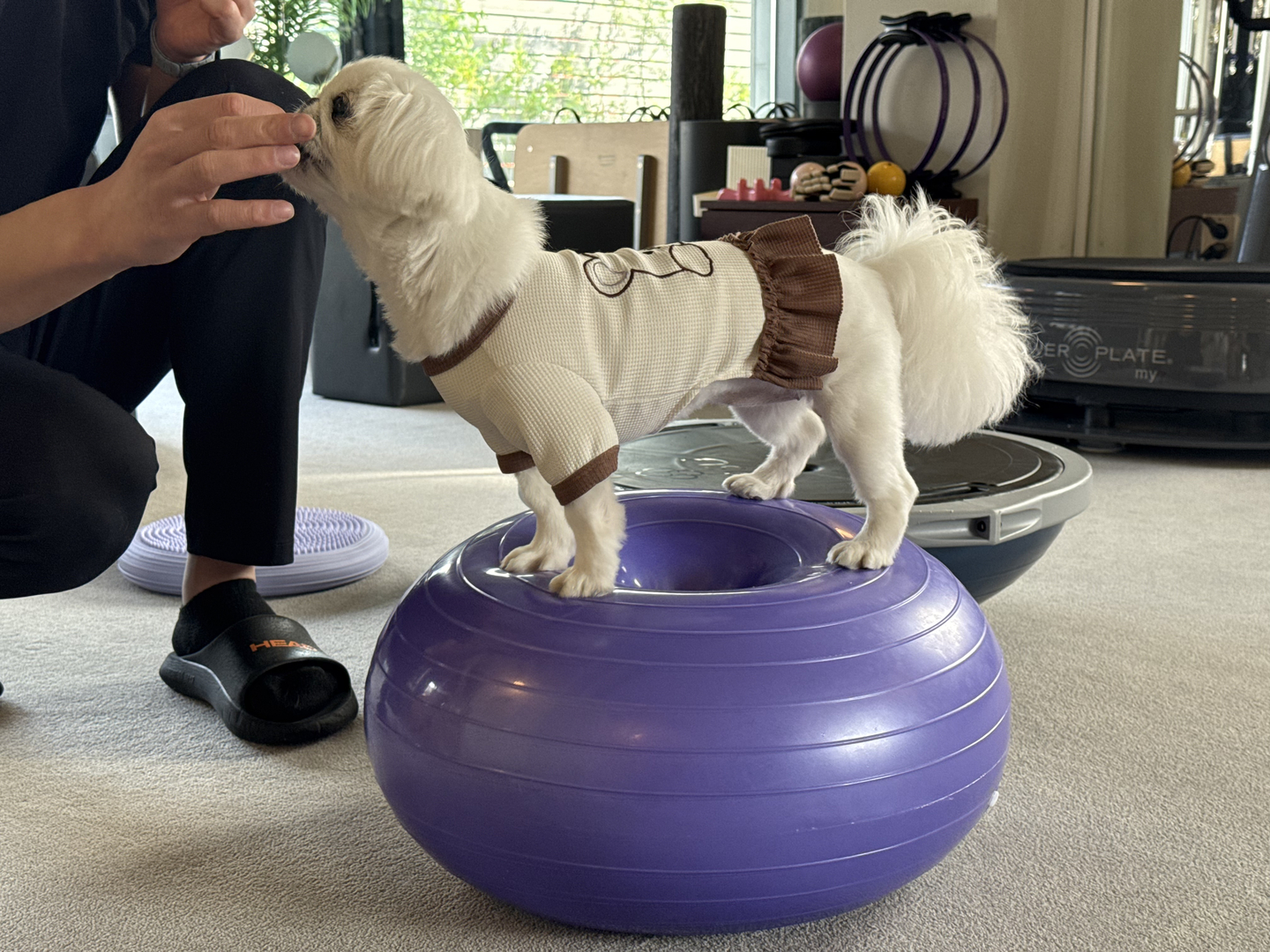 Mary balances on a donut-shaped ball. [WOO JI-WON]
