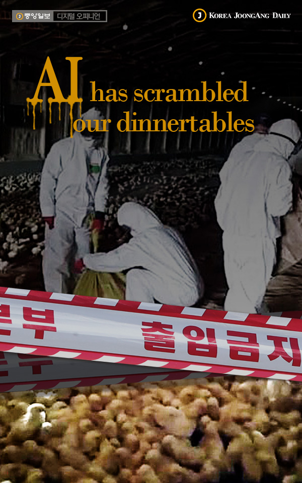 테스트